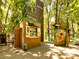 Веревочный парк "Тарзания"