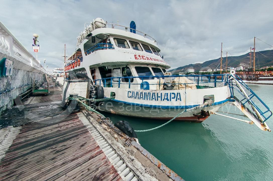 Саламандра, лайнер морские прогулки геленджик 01