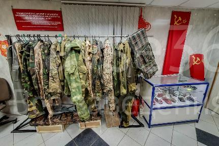 зеленый кот пенза