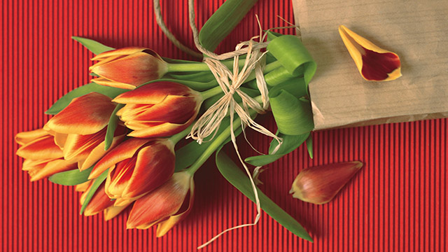 Живые тюльпаны от Флора Стиль